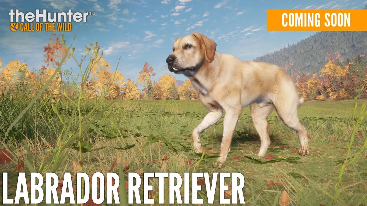Der Labrador Retriever kommt ab heute in theHunter Call of the Wild