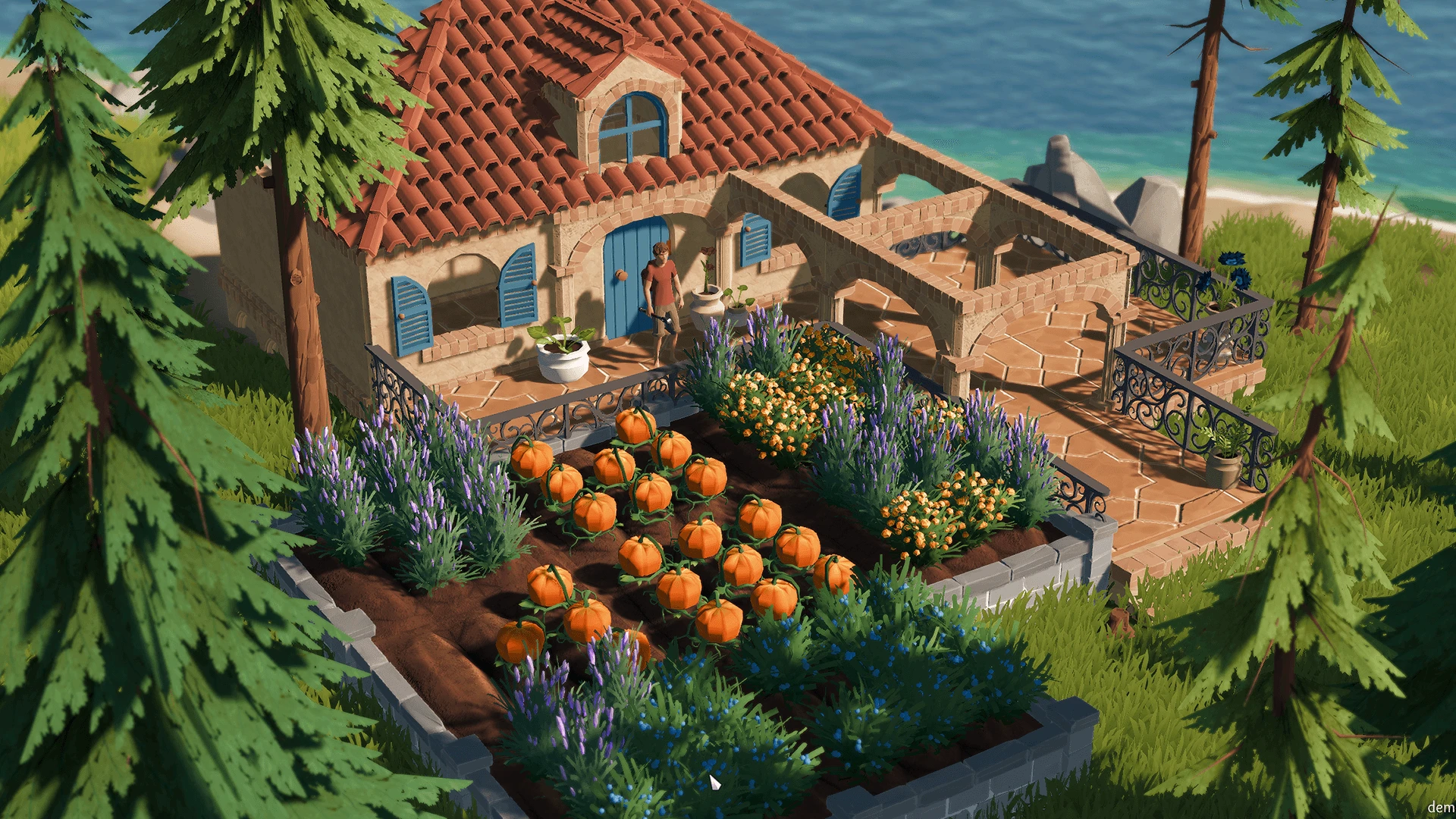 lens_island_4.webp